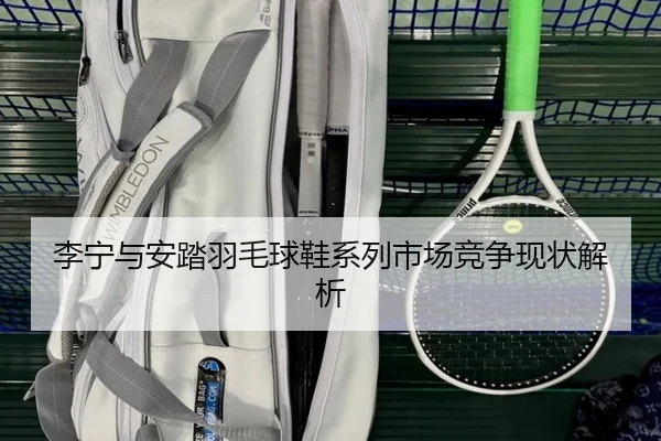 李宁与安踏羽毛球鞋系列市场竞争现状解析